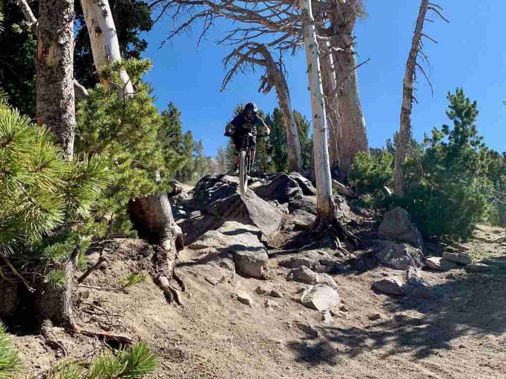 Becky riding down technical rock garden on Velocity trail at Mammoth Bike Park in California
