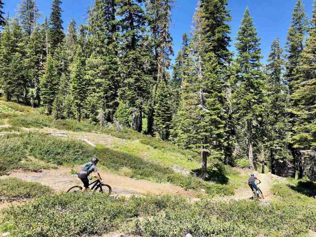 Two mountain bikers riding on singletrack in Downieville, California