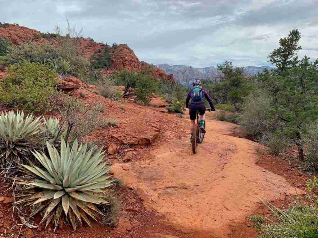 Becky riding on red rock trail in Sedona, Arizona with cacti and green vegetation lining trail. Snowy red bluffs in the distance. 