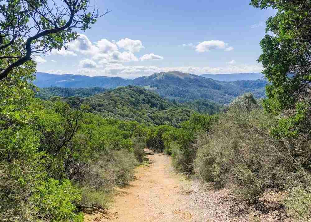 San Juan mountain bike trail in mountains outside of Los Angeles, California